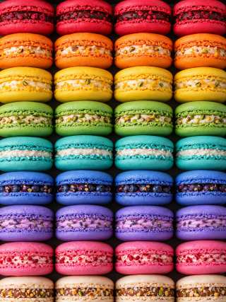 Grid of colorful French macarons arranged in horizontal rows by color, from red at top to beige at bottom, each with piped filling between two shells
